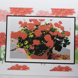 Painted Geranium Flowers in a Flower Pot - Notecards