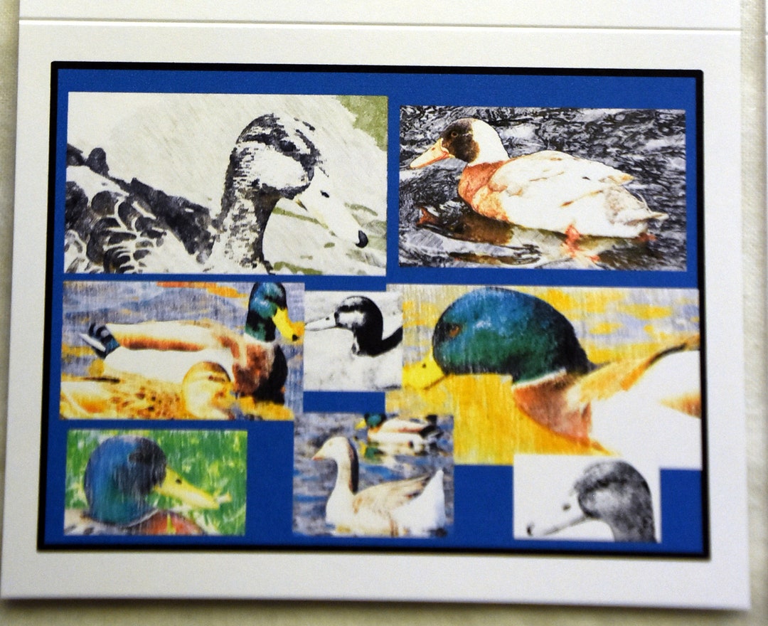 Collage of Duck and Geese Drawings - Notecards - Etsy