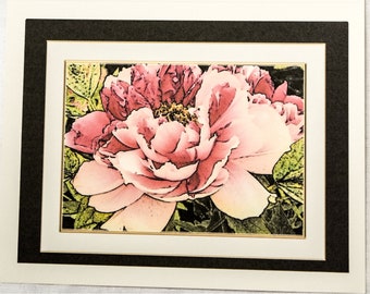 Collored Pencil Drawings of Peonies - Notecards