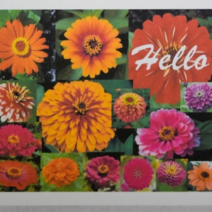 Collage of Zinnias from My Garden - Notecards