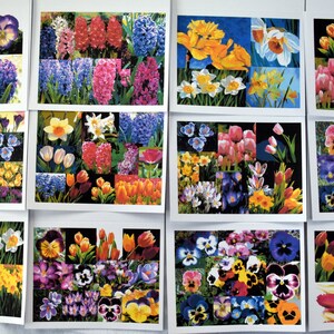 Spring Collection of Notecards - 1