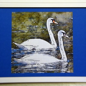 Watercolors of Trumpeter Swans Posing for You - Notecards