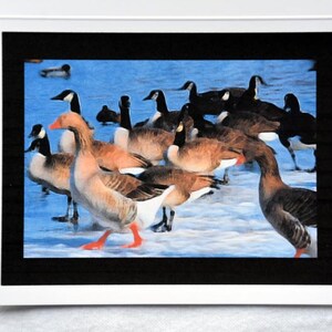 Painted Geese Enjoying the Day - Notecards