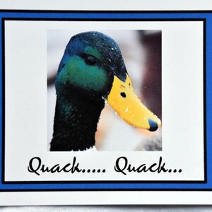 Ducks Quacking for Winter Fun - Notecards