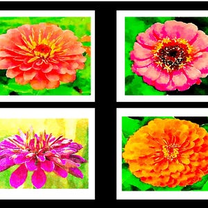 Watercolor Zinnias Blasting With Color - Notecards