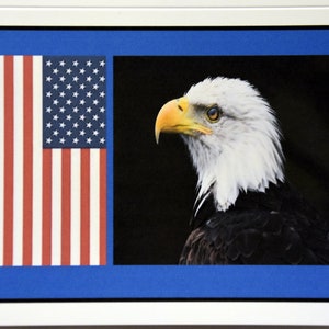 Bald Eagle Symbol of the Good Old USA - Notecards