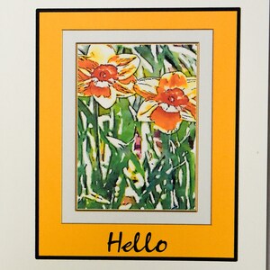Daffodils Bursting in the Warmth of the Spring Sun