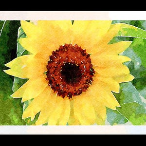 Aquarelle primitive de tournesols nous regardant, nous et le soleil - Cartes pour correspondance