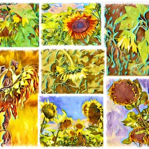 Collage de différentes ambiances d'expression de tournesols aquarelles - Cartes pour correspondance