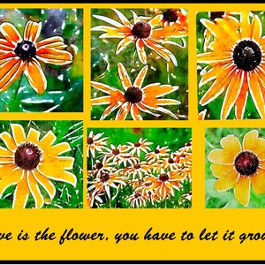 Watercolor Paintings of Black-Eye Susans  and Sayings - Notecards