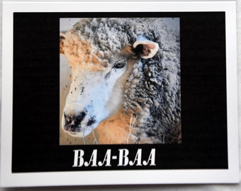 Sheep and Lambs at the Farm - Notecards