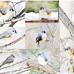 Collage primitif à l'aquarelle de mésanges en touffes en hiver - Cartes pour correspondance