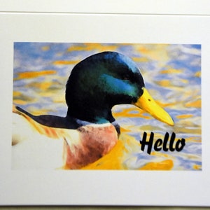 Painted Ducks Enjoying the Day - Notecards