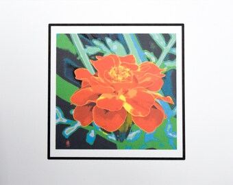 Painted Marigolds of Summer Bloom - Notecards