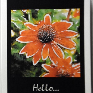 Watercolor Coneflowers Saying Goodbye to Fall - Notecards