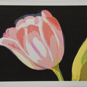 Bright Splash of Tulips for You