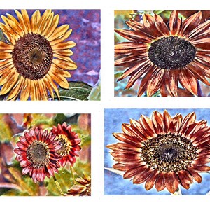 Quatre peintures artistiques de tournesols aquarelles pour vous - Cartes pour correspondance