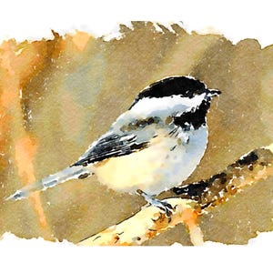 Aquarelle primitive de mésanges s'amusant en hiver - Cartes pour correspondance