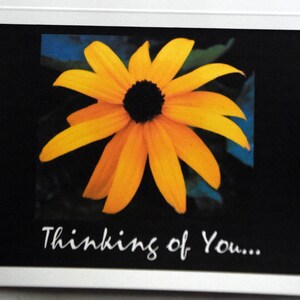 Blackeyed Susans Greating You in the Night - Notecards