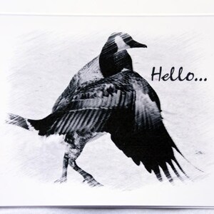 Canadian Geese Sketched Just for You - Notecards