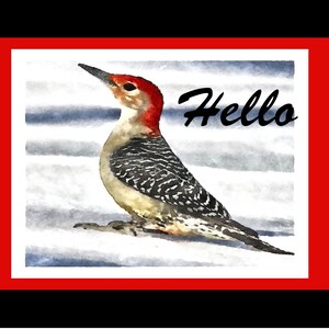 Primitive Paintings of Red-Bellied Woodpeckers In the Winter - Notecards