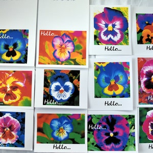 Spring Collection of Notecards - 2