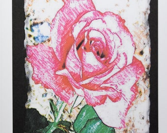 Colored Pencil Drawings of Roses for You - Notecards