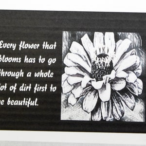 Black Pencil Drawings of Zinnias - Notecards