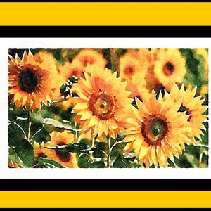 Aquarelles primitives représentant un champ de tournesols dans le vent - Cartes pour correspondance