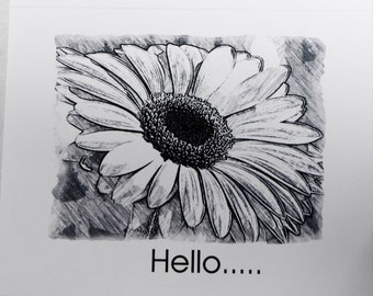 Black and White Pencil Sketches of Daisies - Notecards