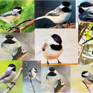 Collage primitif à l'aquarelle représentant l'automne et l'hiver avec les mésanges - Cartes pour correspondance