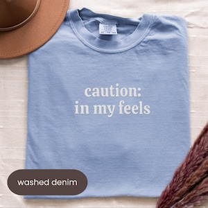 May include: A light blue t-shirt with the text "caution: in my feels" in white. The shirt is labeled "washed denim" and is paired with a brown hat and dried floral arrangement.