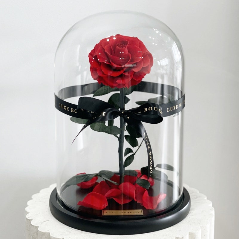 Rose In Glass Rose in Glass Dome - Etsy