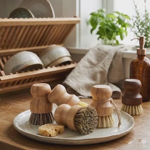 Wooden Dish Brush Set | Natural Sisal Coconut Fiber Pot Scrubber (4 Pack)
