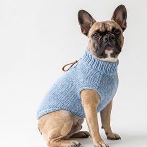 May include: A light blue dog sweater with a turtleneck collar. The dog is a French Bulldog with brown and black fur. The sweater has a small leather loop near the collar.