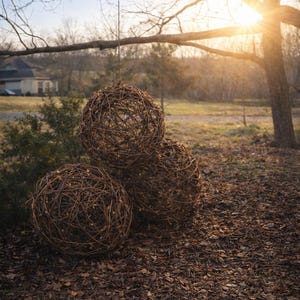 16" Handwoven Grapevine Orb Light – Rustic Garden Decor, Indoor/Outdoor Spaces