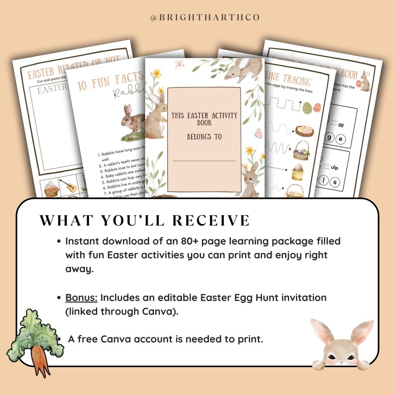 May include: A collection of printable Easter activity pages. The pages include fun facts about rabbits, line tracing, and coloring activities. The cover of the activity book says "This Easter Activity Book Belongs To".