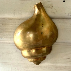 May include: A polished brass wall-mounted vessel shaped like a large conch shell. The metallic surface features a warm golden tone with subtle natural patina spots and a smooth, curved silhouette that tapers to a point at the top opening.