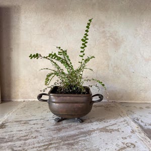 May include: A small, weathered copper-toned metal planter with two side handles and three claw-shaped feet. The container holds a vibrant green fern plant with delicate, slender fronds that extend upwards and outwards from the dark soil.
