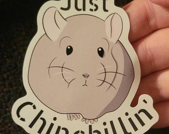 Pegatina de chinchilla "Just Chinchillin'" / Calcomanía de vinilo troquelada