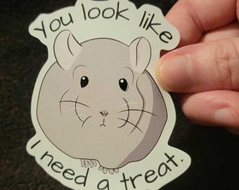 Pegatina de vinilo troquelado de chinchilla - Divertida calcomanía de chinchilla - Parece que necesito un premio