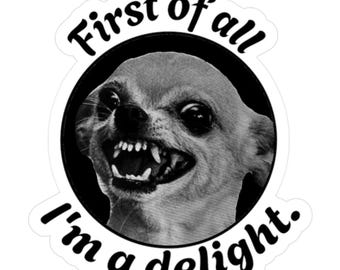 Primero que todo, soy un chihuahua encantador. Calcomanía de vinilo para perros divertidos. Calcomanía para mascotas.