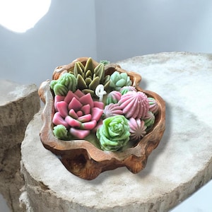 Può includere: Una ciotola decorativa in legno piena di succulente scolpite colorate. La composizione comprende un grande fiore rosa, rosette verdi e forme di cactus rosa e verdi. La ciotola ha un aspetto naturale e rustico.