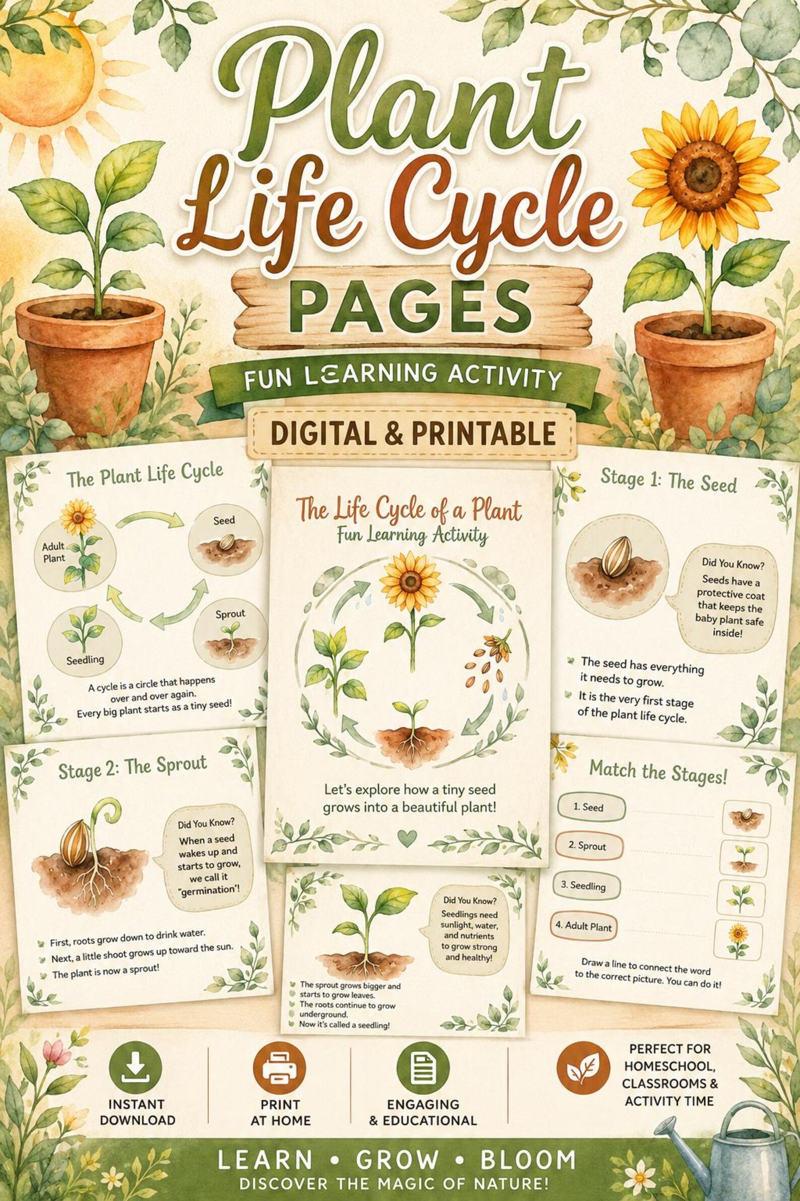 Plant Life Cycle Activity Pages | Seed to Bloom Learning (digital ...