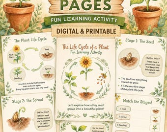 Pagine di attività sul ciclo vitale delle piante / Dal seme alla fioritura (Download digitale)