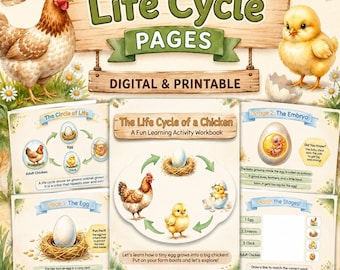 Ciclo di vita del pollo (stampabile) / Attività scientifica in fattoria (download digitale)