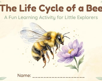 Bee Life Cycle Learning Chart | Honey Bee Stages Printable (Digital Download)