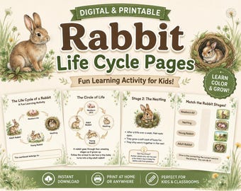 Ciclo di vita del coniglio (PDF stampabile) / Attività didattica sulle fasi di crescita del coniglio