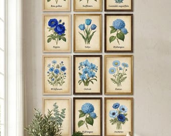 12 stampe floreali botaniche vintage: quadri floreali da parete stampabili (download immediato)