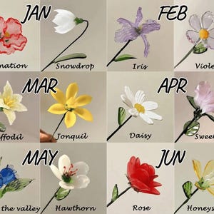 May include: A collage of twelve glass flowers, each representing a month of the year. The flowers include carnation, snowdrop, iris, violet, daffodil, jonquil, daisy, sweet pea, lily of the valley, hawthorn, rose, and honeysuckle. Each flower has a stem and leaves.